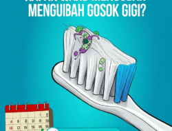 Kapan Wajib Mengubah Gosok Gigi?
