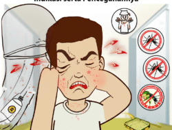Penyakit Demam Berdarah: Indikasi serta Pencegahannya